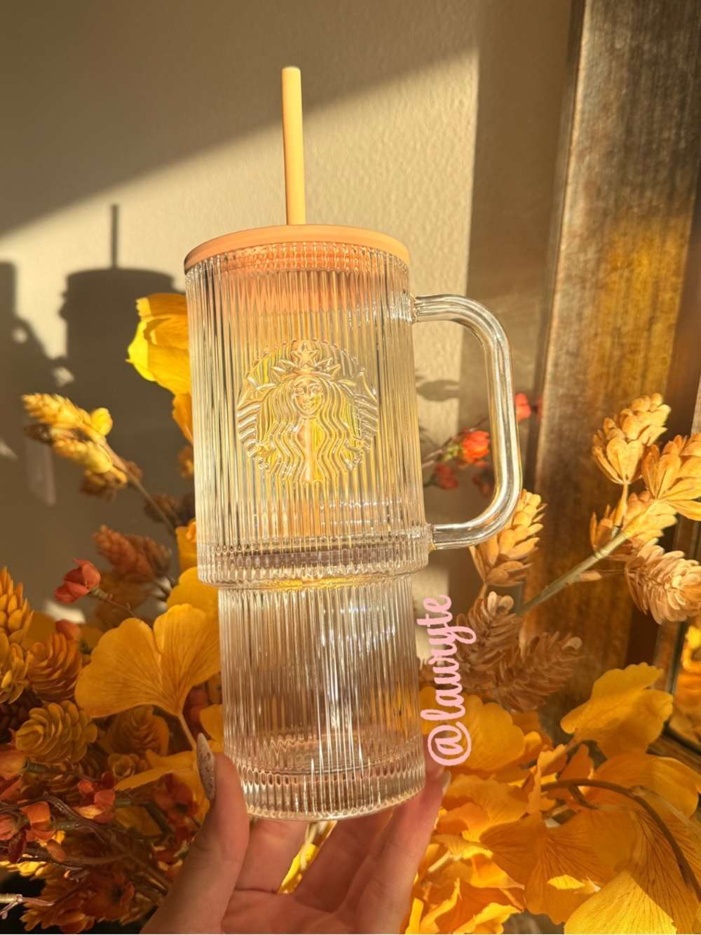 Starbucks 2026 Fall Clear Ribbed Glass Tumbler